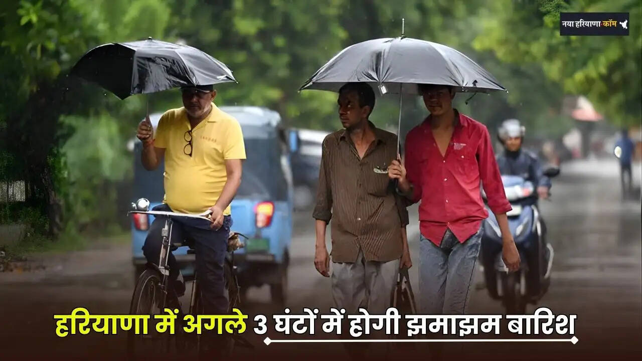 haryana rain alert