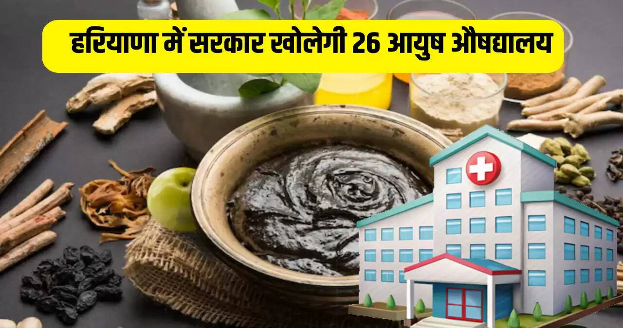 haryana news