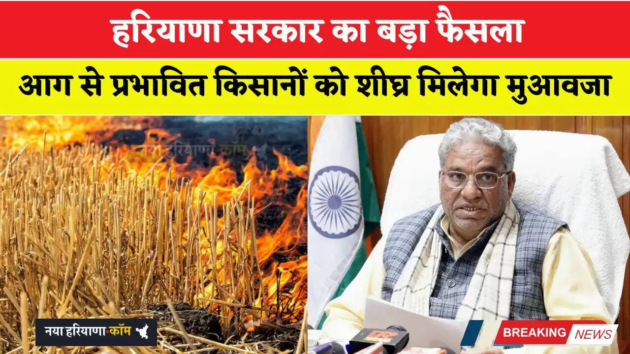 हरियाणा सरकार का बड़ा फैसला, आग से प्रभावित किसानों को शीघ्र मिलेगा मुआवजा