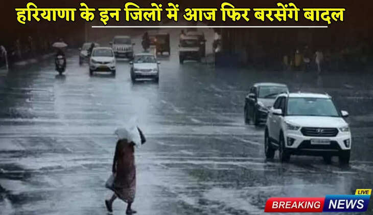 Clouds will rain again in these districts of Haryana today