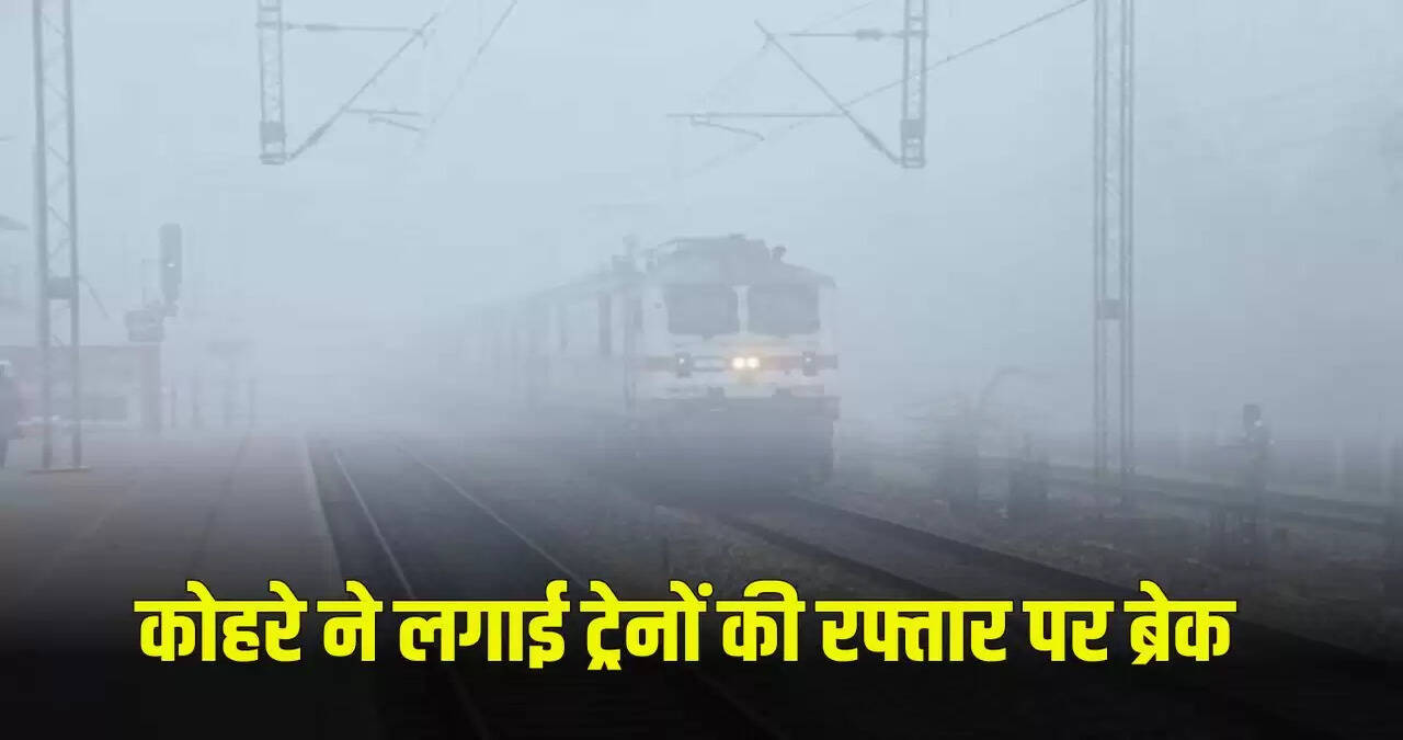 haryana news