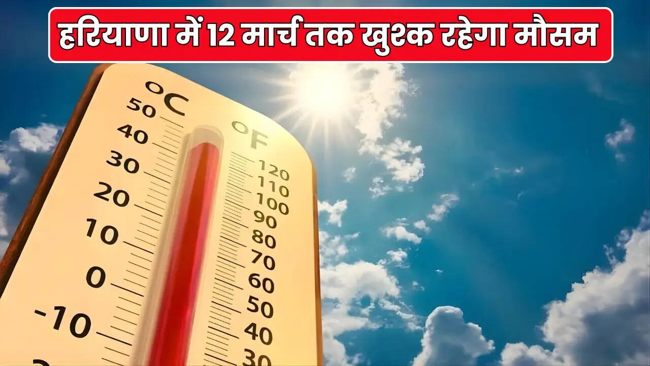 haryana weather update