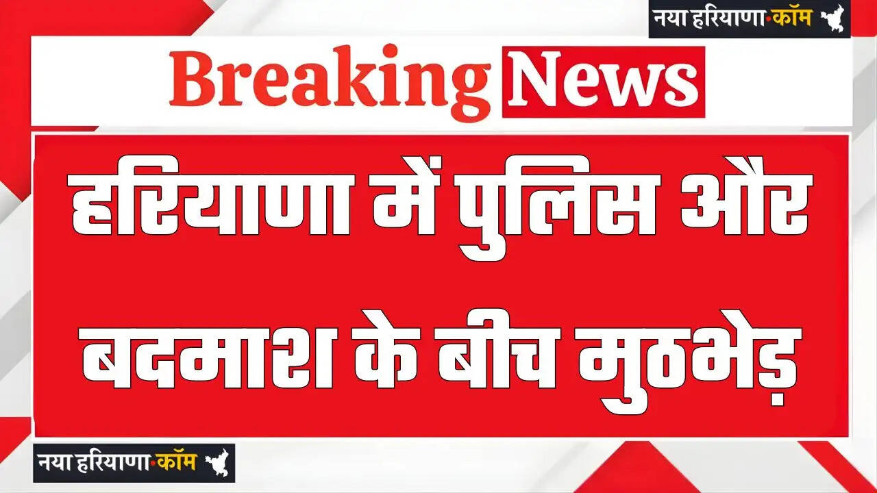 हरियाणा में पुलिस और बदमाश के बीच मुठभेड़, पूरे इलाके में अलर्ट के साथ भारी पुलिस बल तैनात&nbsp;