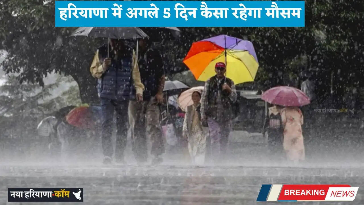 Haryana Weather: हरियाणा में अगले 5 दिन कैसा रहेगा मौसम, देखें कब होगी बरसात ?