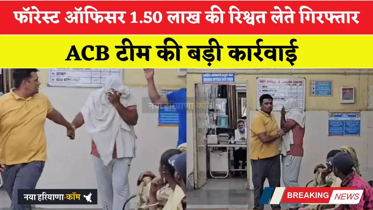 हरियाणा में फॉरेस्ट ऑफिसर 1.50 लाख रुपये की रिश्वत लेते गिरफ्तार, ACB टीम की बड़ी कार्रवाई