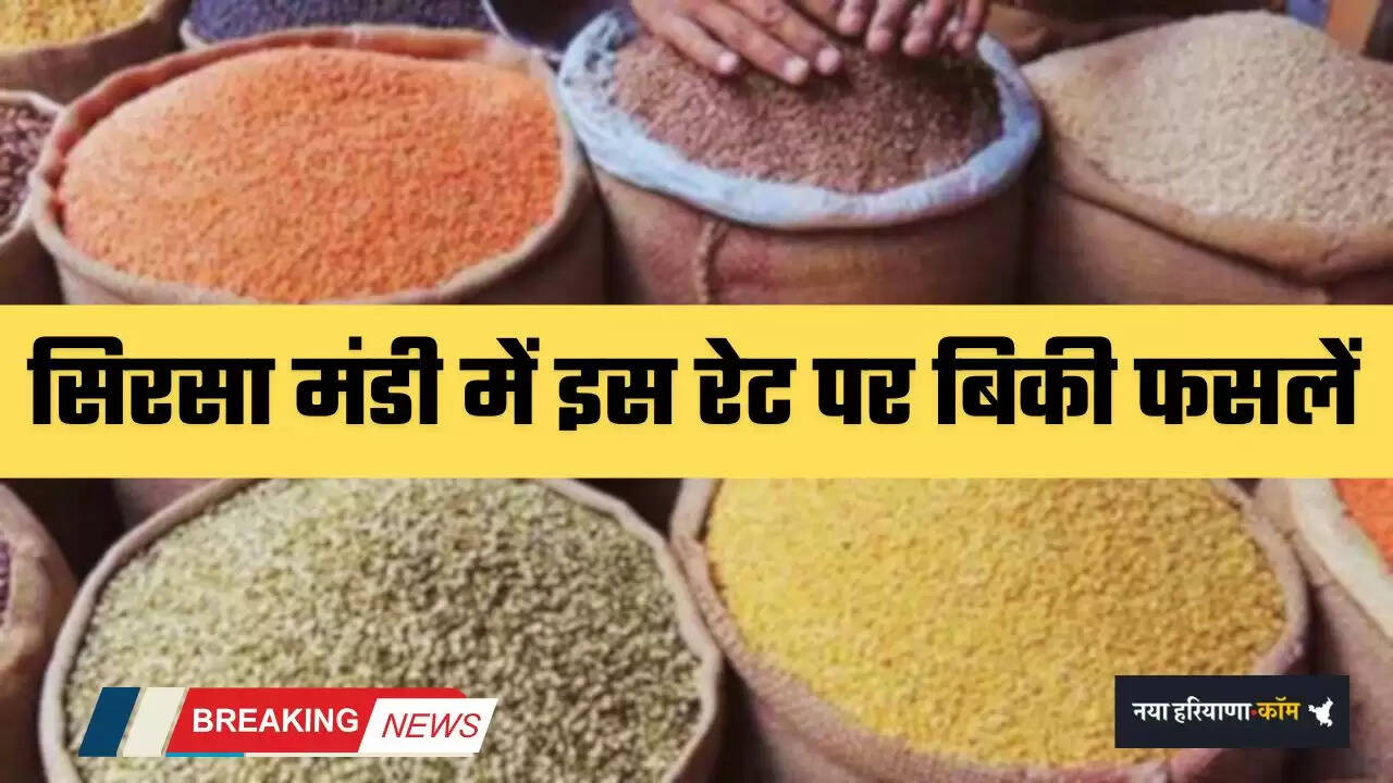 Crops sold at this rate in Sirsa Mandi