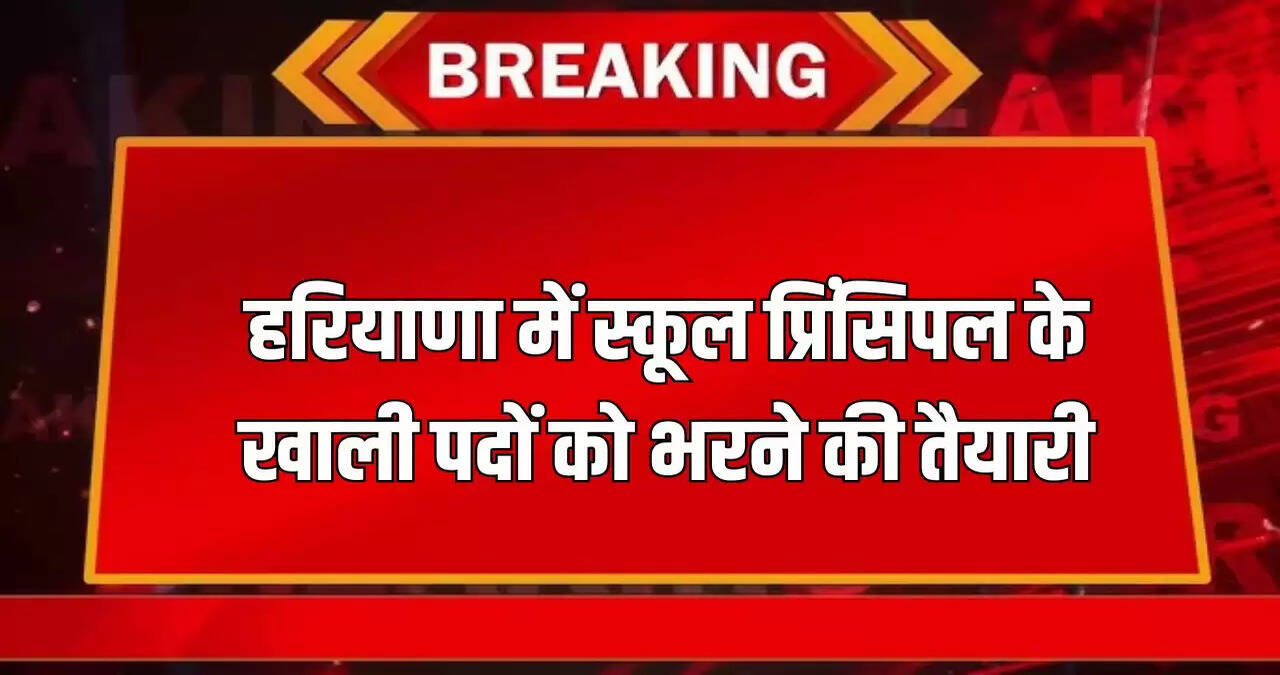 haryana news
