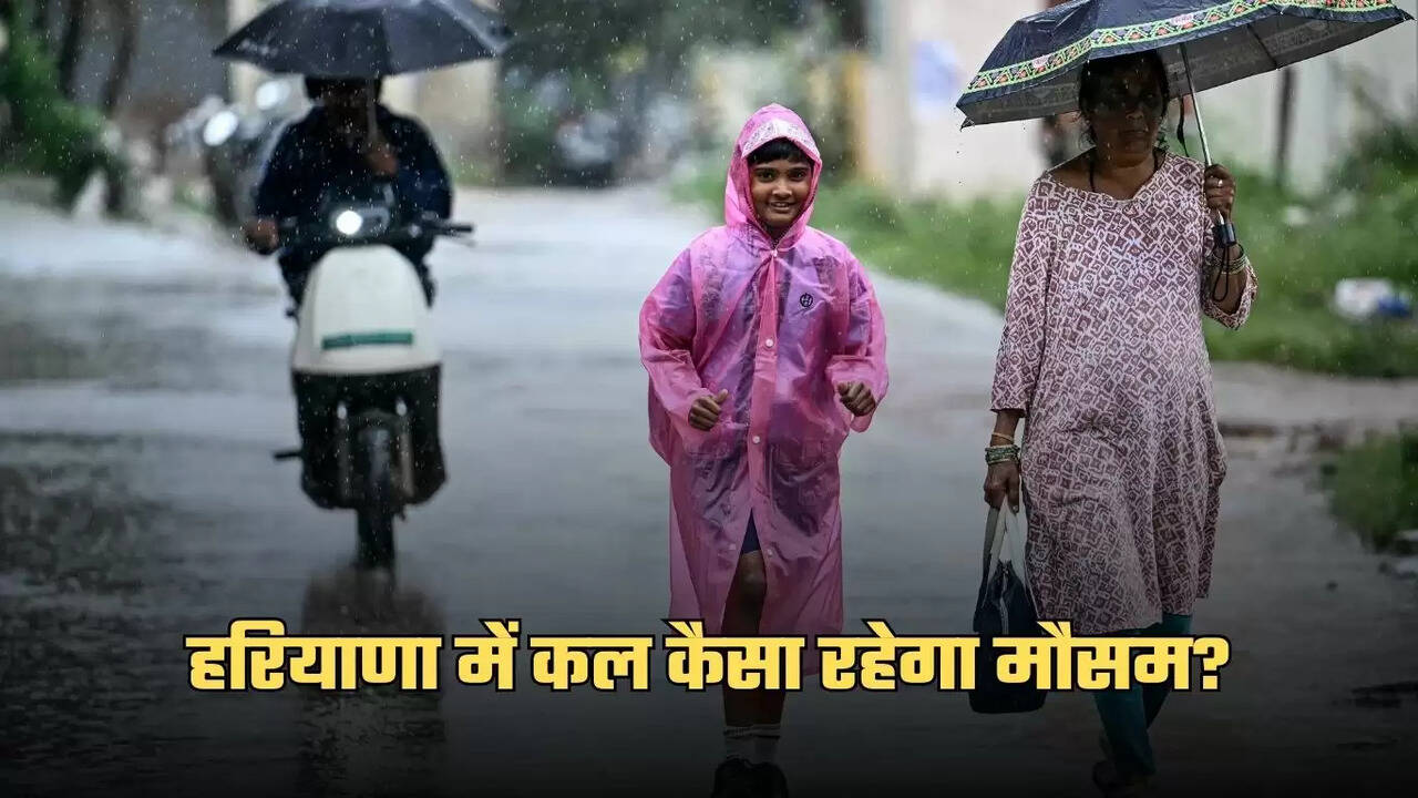 haryana weather