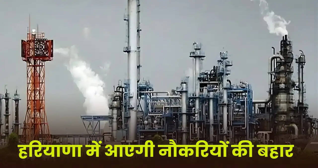 Haryana News 