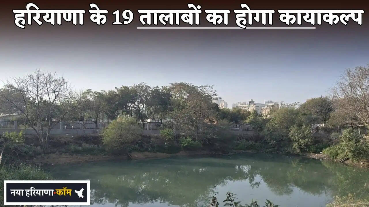 19 ponds in Haryana will be rejuvenated