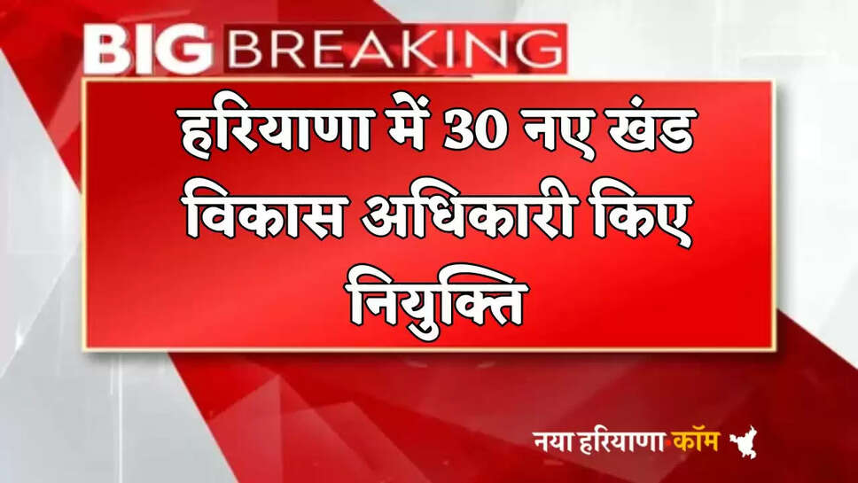 30 new Block Development Officers appointed in Haryana