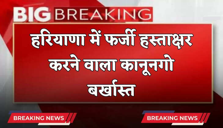 Lawyer sacked for making fake signature in Haryana