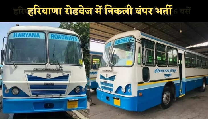 haryana roadways bharti