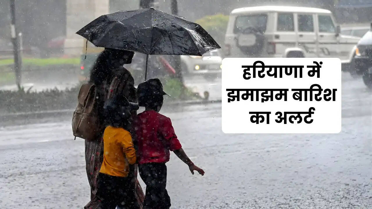 haryana weather udpate