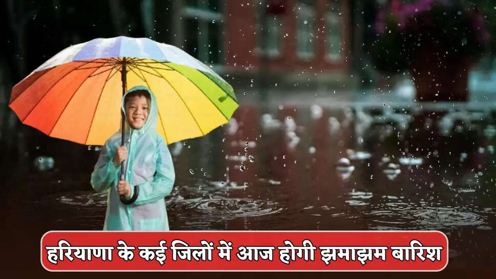 There will be heavy rain in many districts of Haryana today