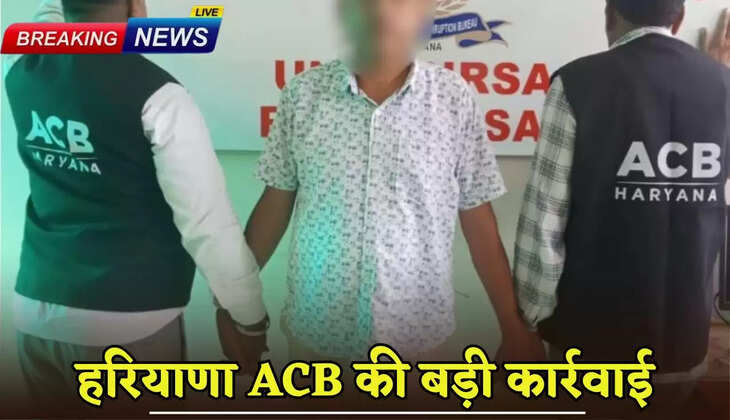 Big action of Haryana ACB