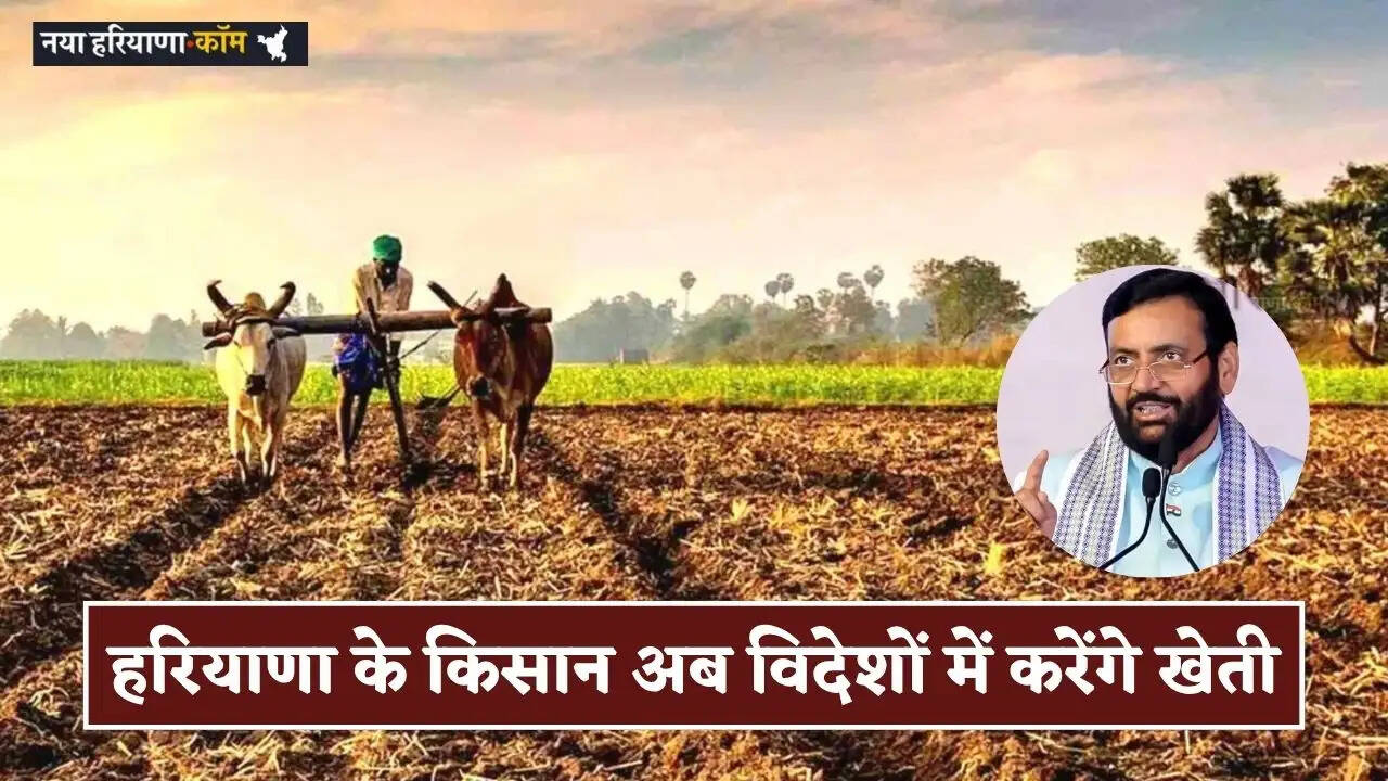 Haryana: हरियाणा के किसान अब विदेशों में करेंगे खेती, सरकार देगी ये सहायता&nbsp;