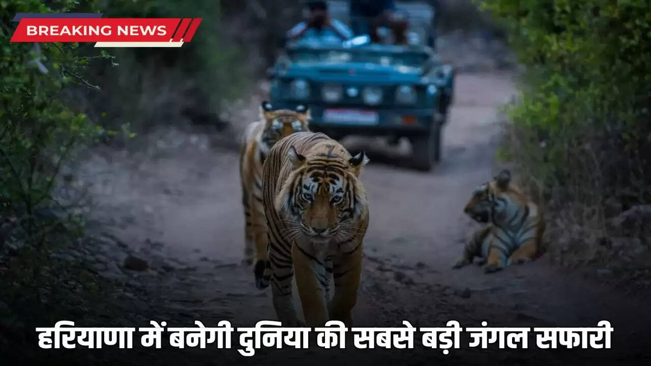  World's largest jungle safari to be built in Haryana