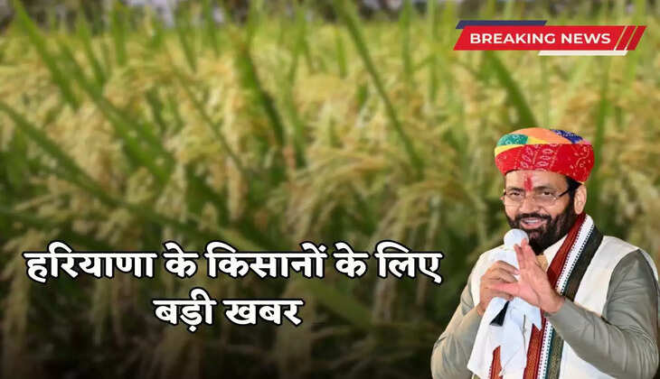 Big news for Haryana farmers, paddy procurement will start before October 1