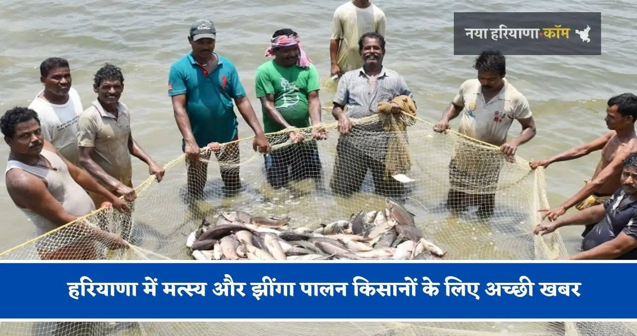 हरियाणा में मत्स्य और झींगा पालन किसानों के लिए अच्छी खबर, अब&nbsp;मिलेगी सस्ती बिजली