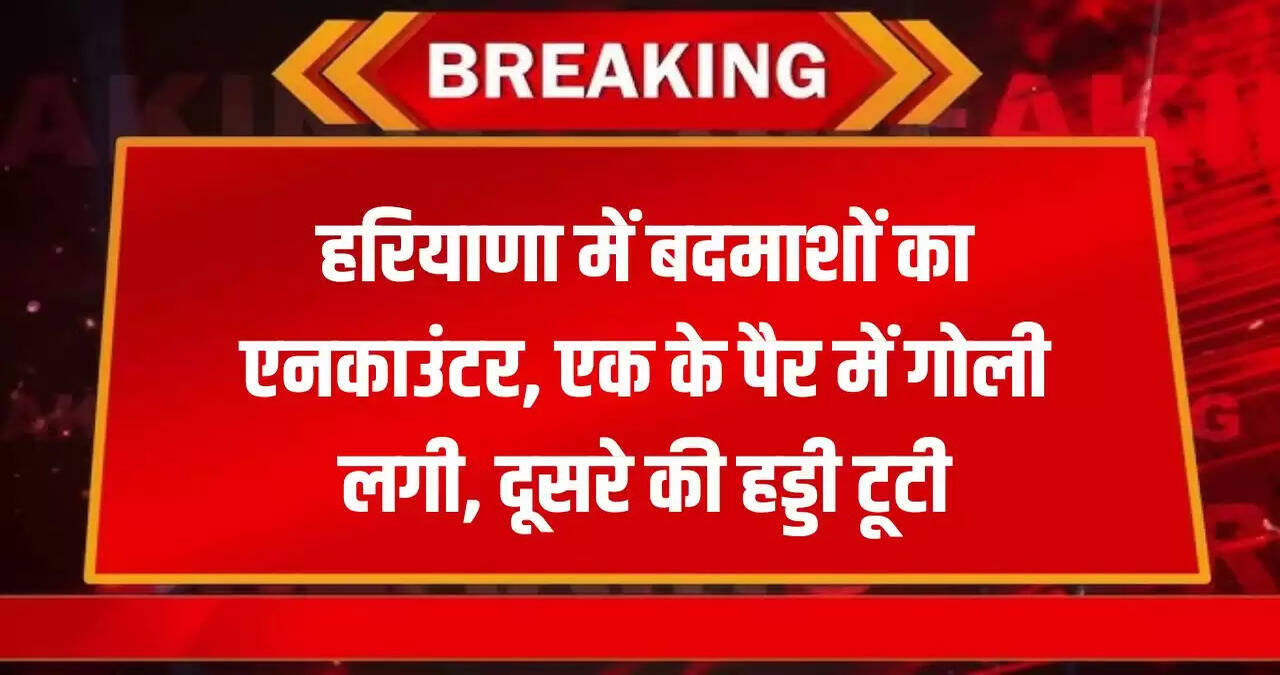haryana news