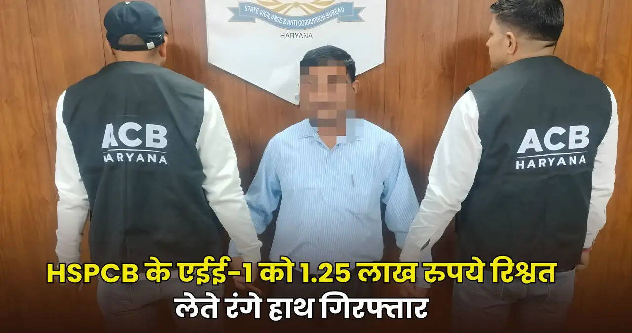 haryana news