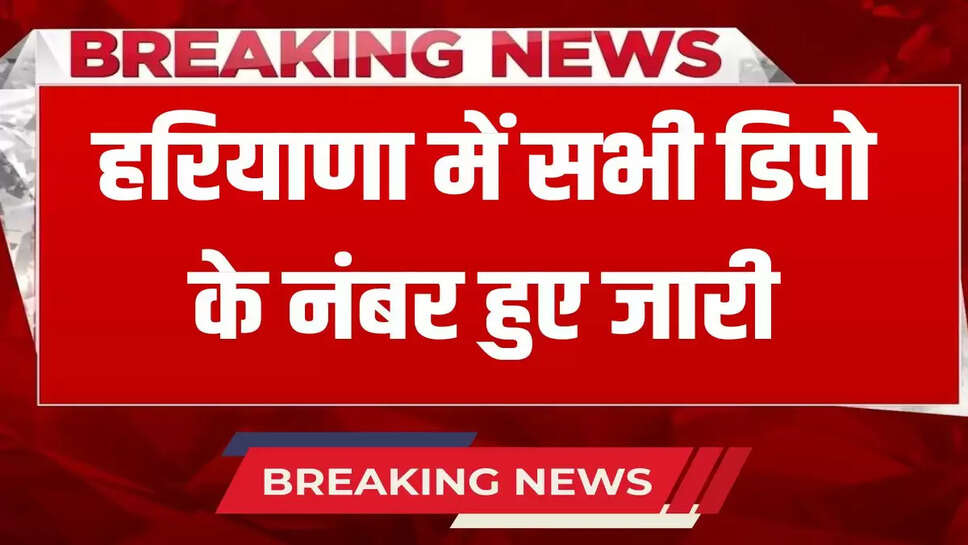 Numbers of all depots were issued in Haryana