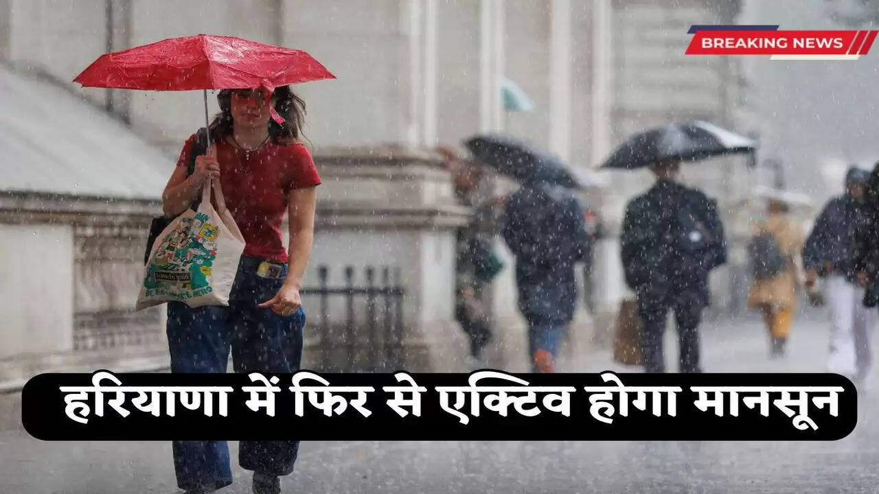 Haryana Weather Update