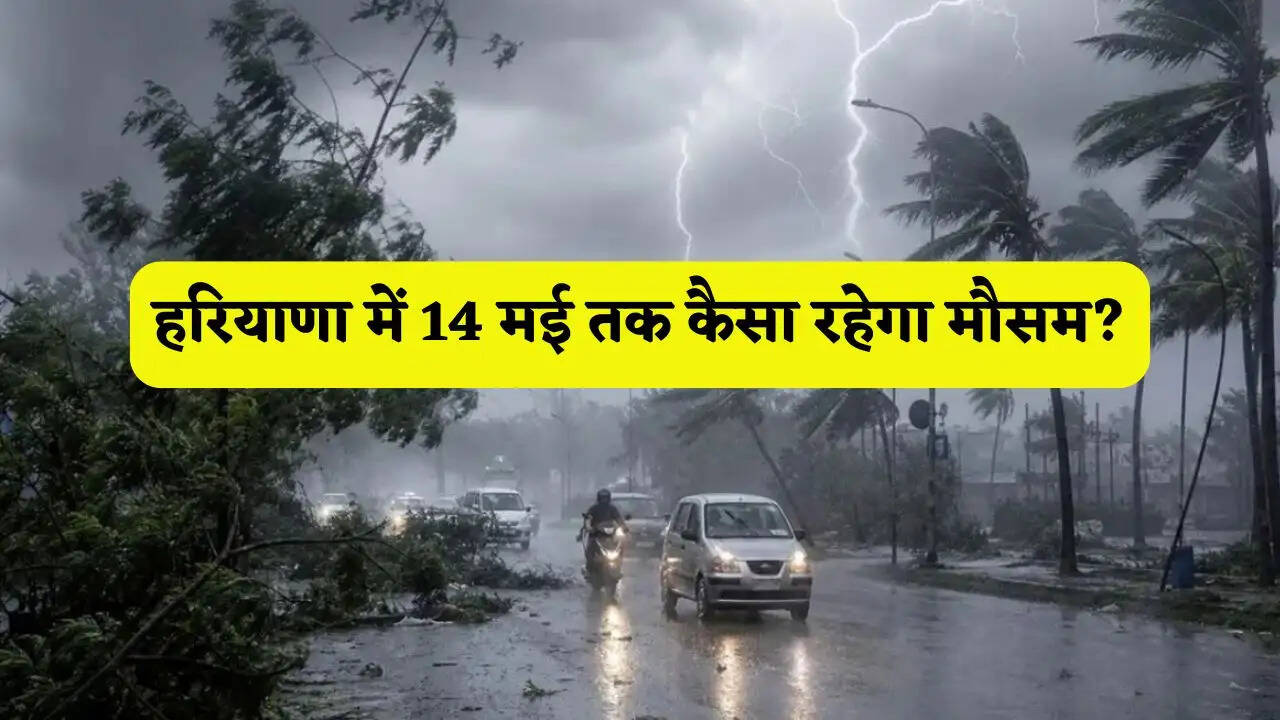 हरियाणा में नए पश्चिमी विक्षोभ से होगी झमाझम बरसात, देखें 14 मई तक कैसा रहेगा मौसम?