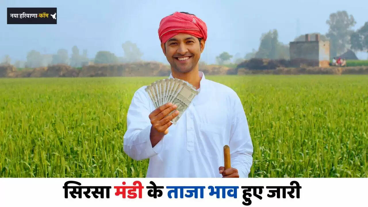 New Rates of Sirsa Mandi of Haryana Released: सिरसा मंडी के ताजा भाव हुए जारी&nbsp;