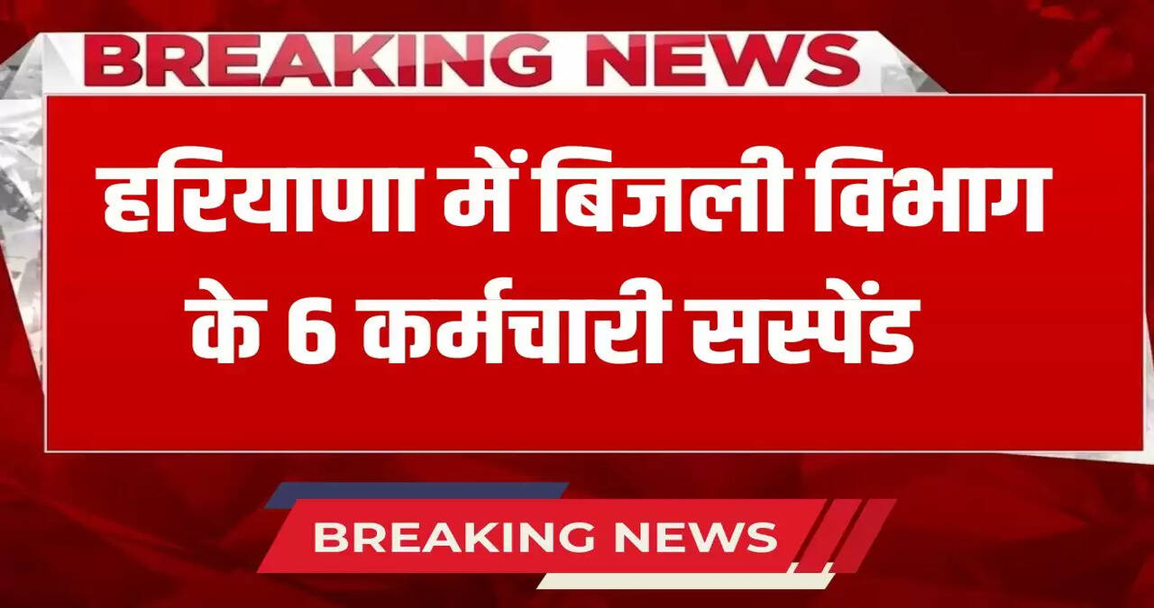  6 employees of the electricity department suspend