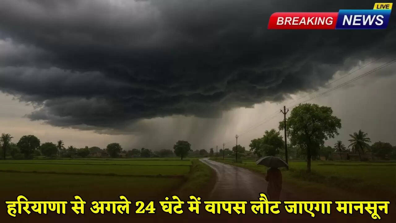 Monsoon will return from Haryana in the next 24 hours.