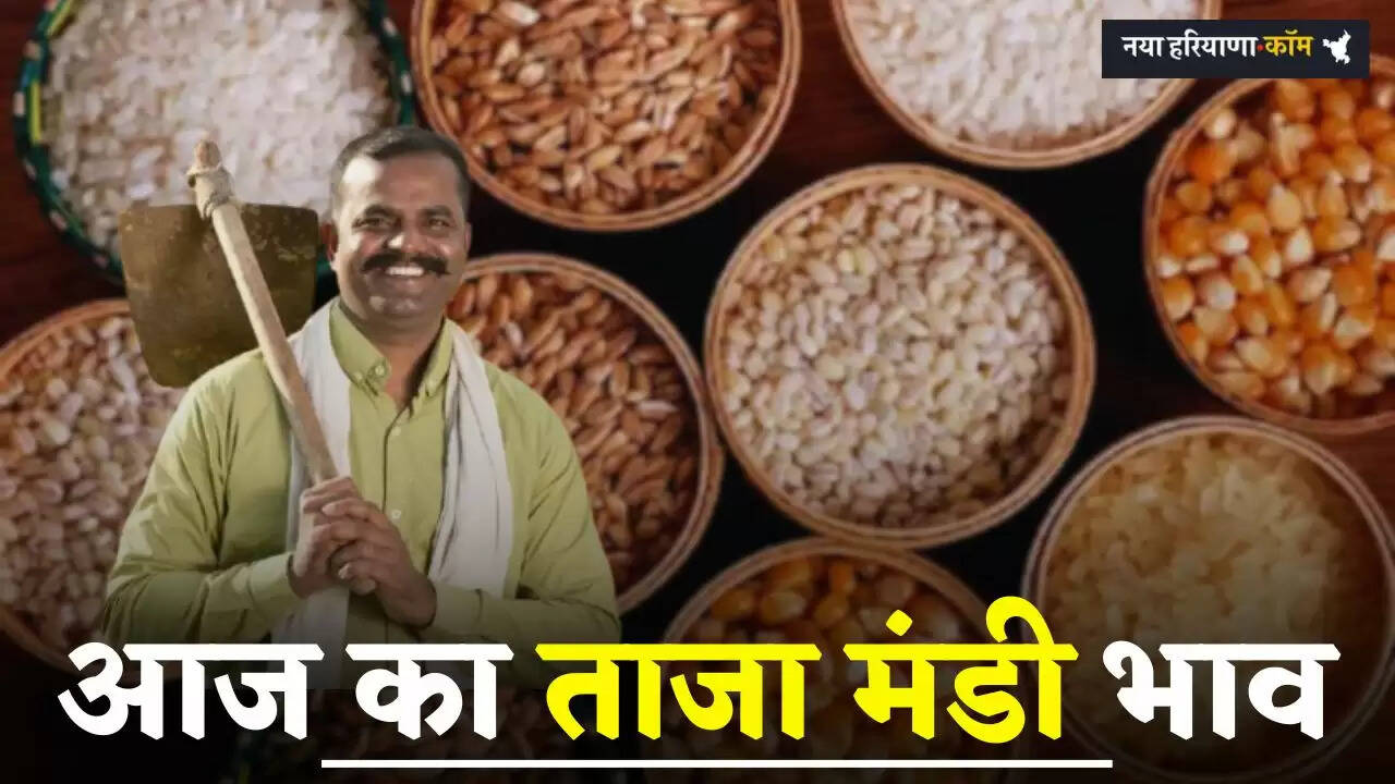 Aaj Ka Mandi Bhav: हरियाणा-राजस्थान की मंडियों के ताजा भाव जारी, देखें सभी फसलों के नए रेट