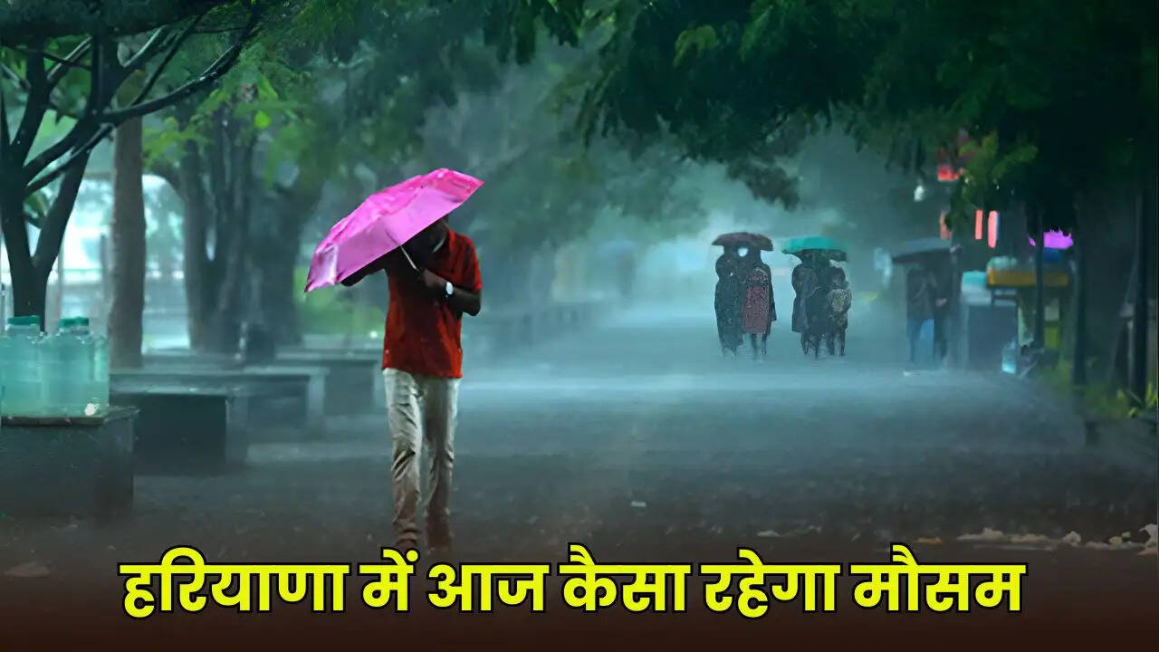 haryana weather update
