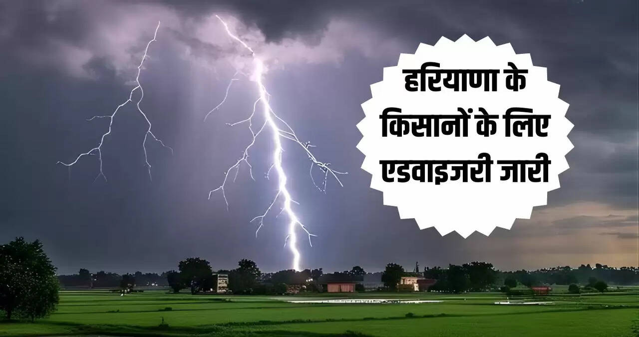 haryana news