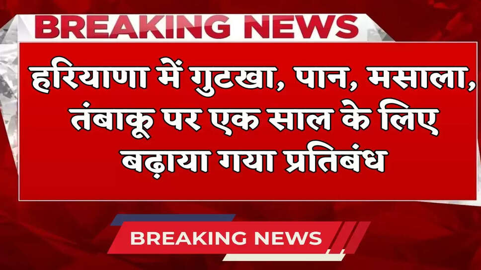 Ban on gutkha, paan, masala, tobacco extended for one year in Haryana