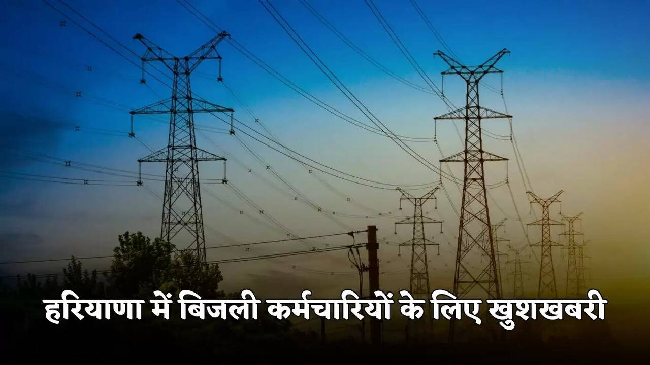 haryana news