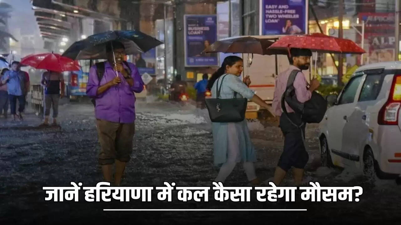 Know what will be the weather like in Haryana tomorrow?