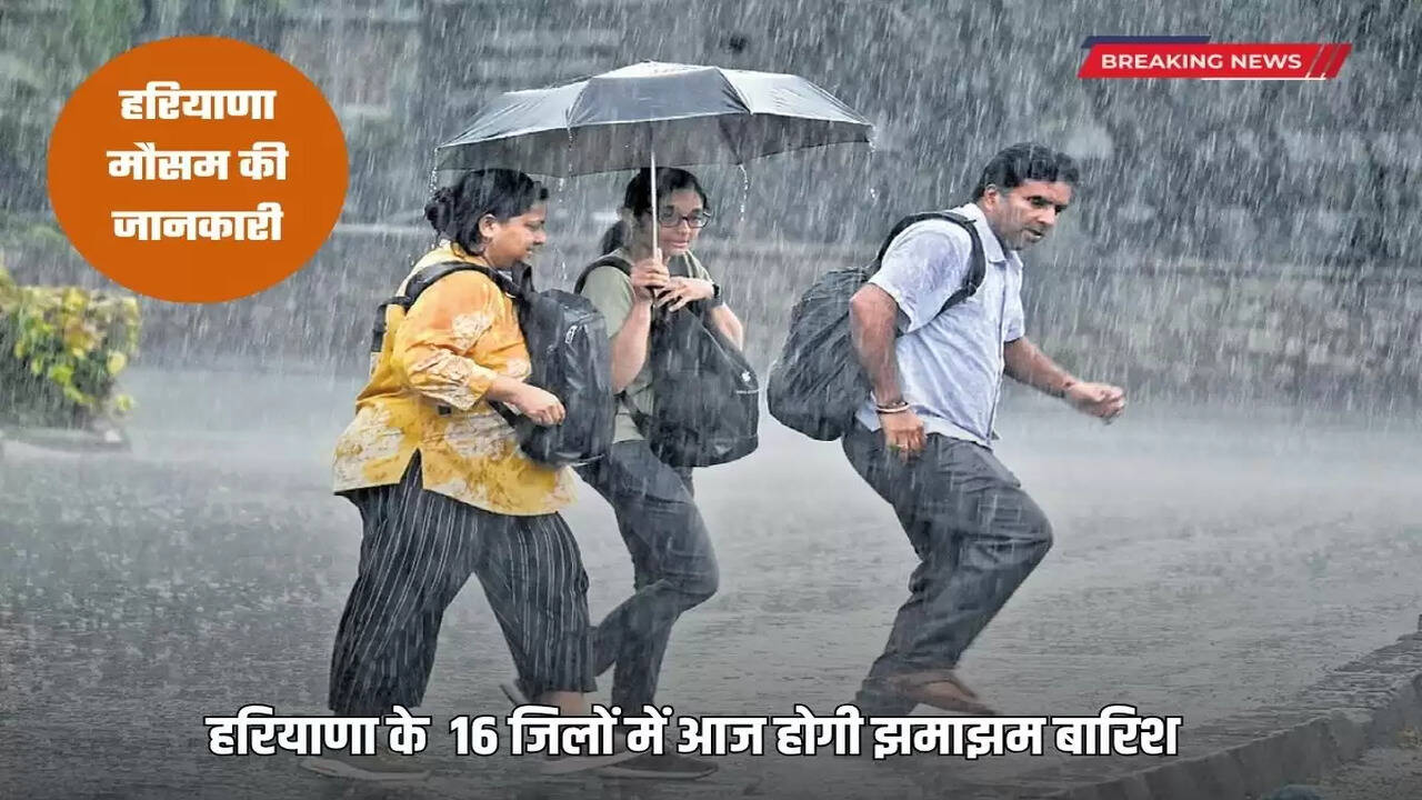 There will be heavy rain in 16 districts of Haryana today