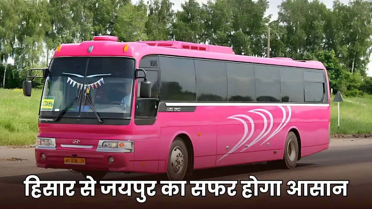 pink city express