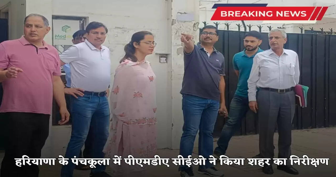 Haryana News: PMDA CEO inspected the city in Panchkula, Haryana, gave these instructions