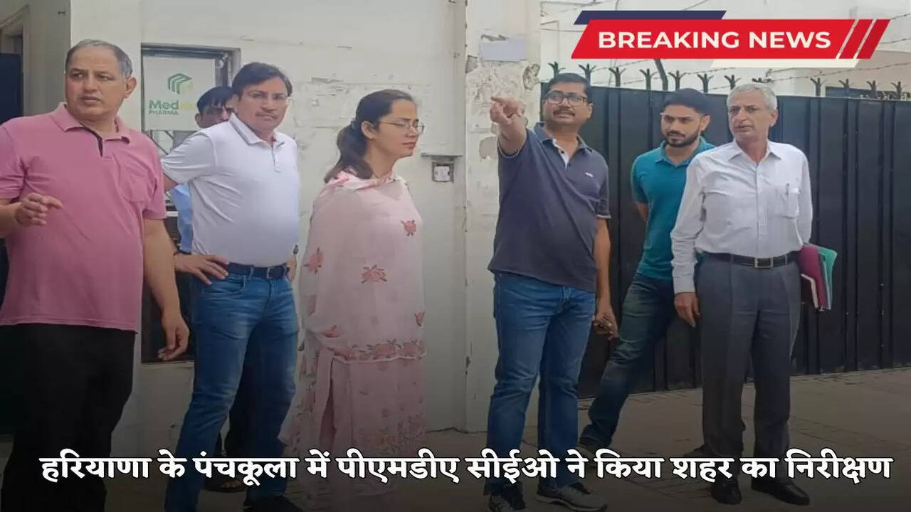 Haryana News: PMDA CEO inspected the city in Panchkula, Haryana, gave these instructions