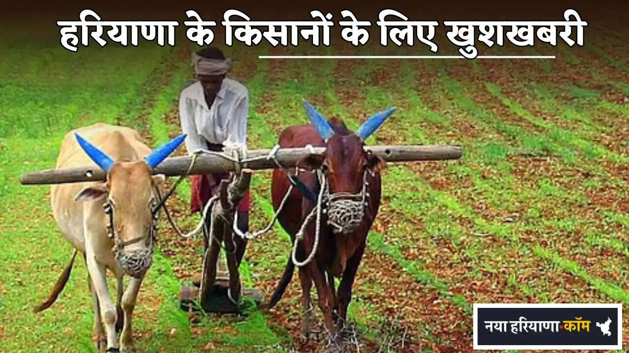 Good news for the farmers of Haryana