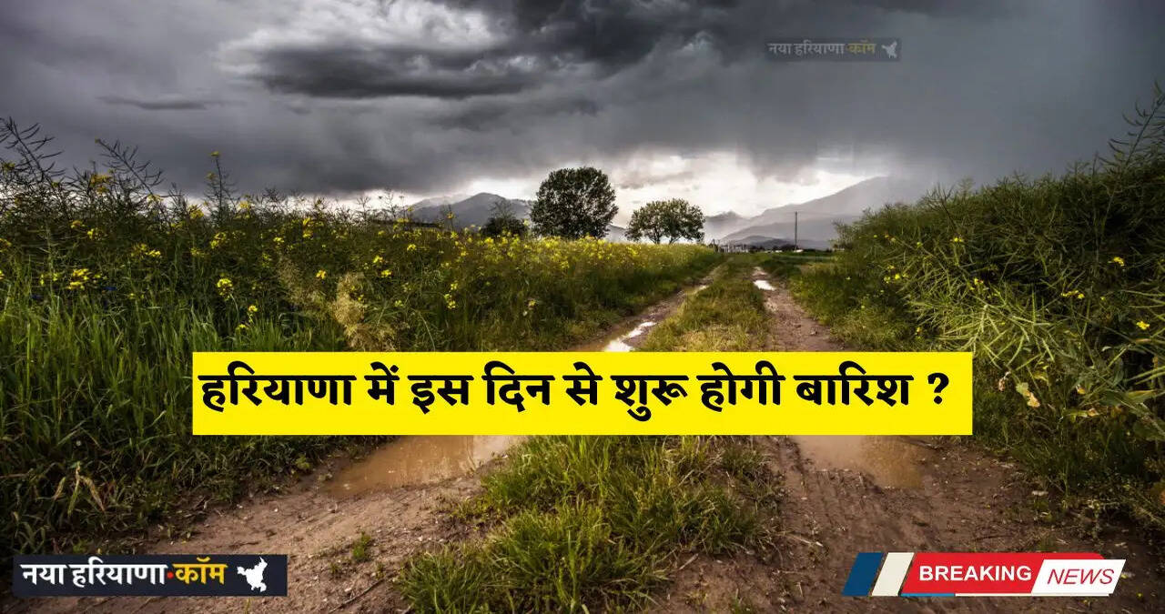 Haryana Weather: हरियाणा में जल्द सक्रिय होंगे नए पश्चिमी विक्षोभ, इस दिन से शुरू होगी बारिश ?&nbsp;