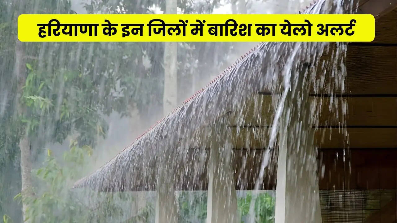 HARYANA WEATHER UPDATE