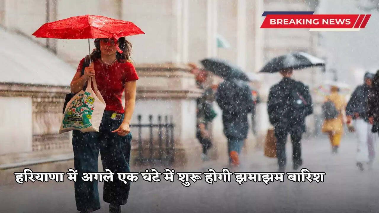 Haryana Weather update