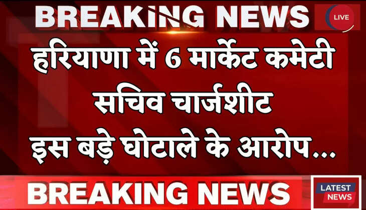 Haryana: हरियाणा में 6 मार्केट कमेटी सचिव चार्जशीट, इस बड़े घोटाले के लगे आरोप...