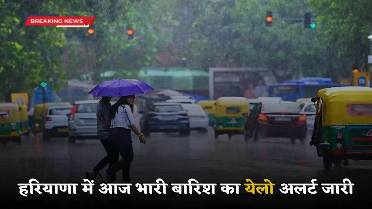 Haryana heavy rain alert by imd