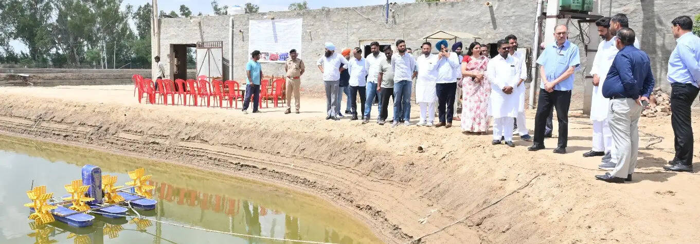 सिरसा बनेगा झींगा पालन का बड़ा केंद्र: सचिव डा. अभिलक्ष लिखी