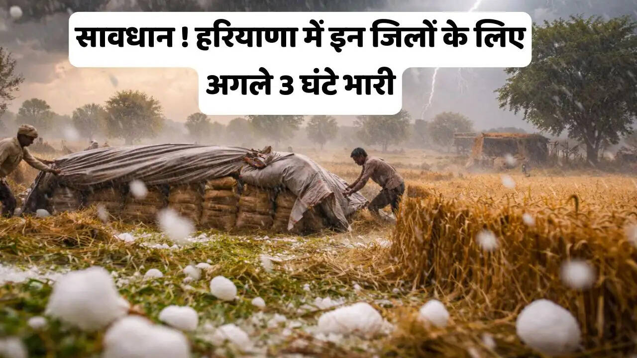 सावधान ! हरियाणा में इन जिलों के लिए अगले 3 घंटे भारी, आंधी के साथ बारिश की चेतावनी !